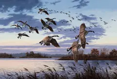 David Maass, Dusk on the Chesapeake – Canada Geese, oil on board