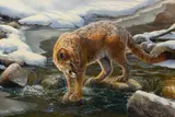 Bonnie Marris, Fire and Ice
