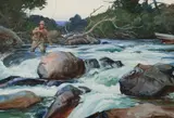 Ogden Pleissner, Above the Rapids