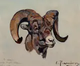 Carl Rungius, Ram Head