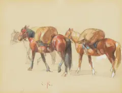 Carl Rungius, Packhorses, watercolor on paper
