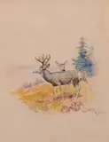 Deer by Charles Marion Russell, 1917, watercolor on paper, sold Jul 2021