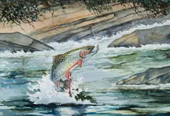 William J. Schaldach, Brook Trout, watercolor on paper