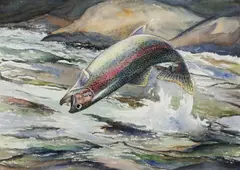 William J. Schaldach, Leaping Rainbow Trout, watercolor on paper
