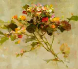 Richard Schmid, Little Begonias, 2008, oil on canvas