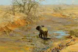 David Shepherd, After the Rains, 1975, oil on canvas