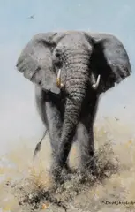 David Shepherd, Elephant Reflections, oil on canvas