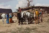 Ray Swanson, Selling Wool