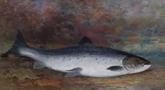 Frederick Arthur Verner, Fresh Caught, gouache on paper