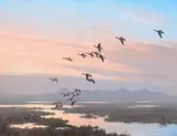 Harry Adamson, Dawn Landing