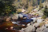 Mark Boedges, Clear Western Water, 2020, oil on canvas