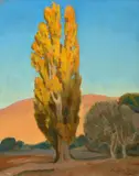 Maynard Dixon, Shifting Light on a Poplar
