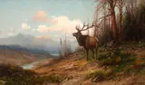 John Fery, Elk