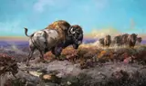Luke Frazier, Thundering Land