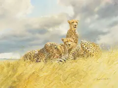 Cheetah Feast - Cheetah over a Kill by Donald Grant, oil on canvas, sold Jul 2020