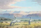 John Cyril Harrison, Blue Cranes at Sunrise