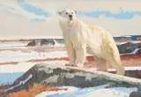 Bob Kuhn, Sunny Day, Cape Churchill