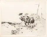 Carl Rungius, The Answer from the Barren, etching with drypoint on paper