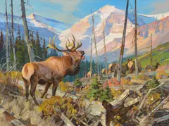 Carl Rungius, Herd Bull, oil on canvas