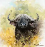 David Shepherd, Cape Buffalo in Bush, 1993, oil on canvas