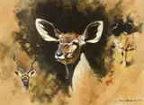 David Shepherd, Kudu, 1967, oil on canvas