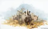 David Shepherd, Rhinos, 1997, oil on canvas