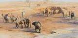 David Shepherd, Twenty Five Thirsty Elephants, 1977, oil on canvas