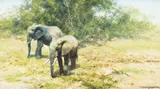 David Shepherd, Young Elephants Foraging, 1993, oil on canvas