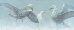 Robert Bateman, Giant Petrels and Albino Gentoo Penguin, 2000, acrylic on canvas