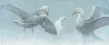 Robert Bateman, Giant Petrels and Albino Gentoo Penguin