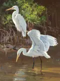 Ken Carlson, On the Coast – Great Egrets, oil on board