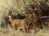 Ken Carlson, Shade at Noon, oil on board