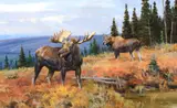 Ken Carlson, Stretch of Wilderness, 2013, oil on board
