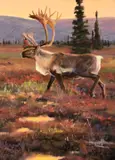 Ken Carlson, Tundra Migrant, oil on board