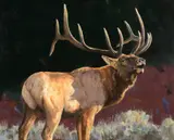Ken Carlson, Unchallenged, 2019, oil on board