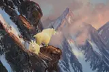 Michael Coleman, Mountain Goats