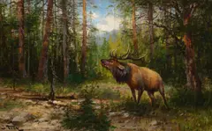 John Fery, Bugling Elk, oil on canvas laid on board