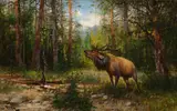 Bugling Elk by John Fery, oil on canvas laid on board, sold Jul 2019