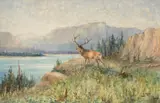 John Fery, Glacier Park, watercolor on paper