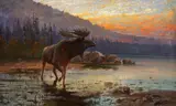 Moose on Jackson Lake ( circa 1900) by John Fery, oil on canvas, sold Jul 2019