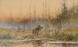John Fery, Sunset over the Lake, watercolor on paper