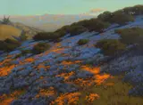 John Marshall Gamble, Poppies and Lupines, 1912, oil on canvas