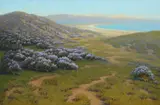 John Marshall Gamble, Monterey Dunes, Bush Lupine, 1911, oil on canvas