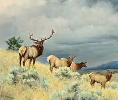 Nancy Glazier, Elk Family, 1985, oil on canvas