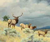 Nancy Glazier, Elk Family, 1985, oil on canvas