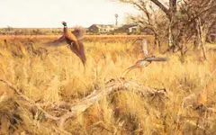 Eldridge Hardie, Double Flush – Pheasants, oil on board