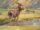 Robert Lougheed, Moose on the Gallatin River
