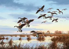 David Maass, Quiet Waters – Canada Geese, oil on board