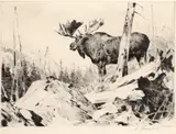 Carl Rungius, Alaskan Wilderness, Drypoint Etching