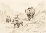 Carl Rungius, The Family, etching on paper